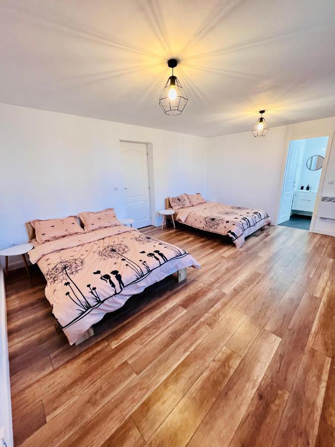 Master Adventure Guest House Vadu Crisului Esterno foto