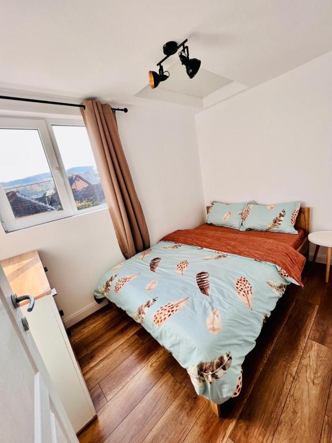 Master Adventure Guest House Vadu Crisului Esterno foto